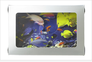 水族館3DシャドウBOX